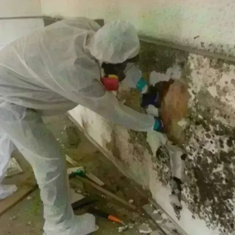 Mold Remediation and Removal in Pittsburg County, OK