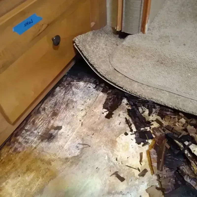 Wood Floor Water Damage in Pittsburg County, OK